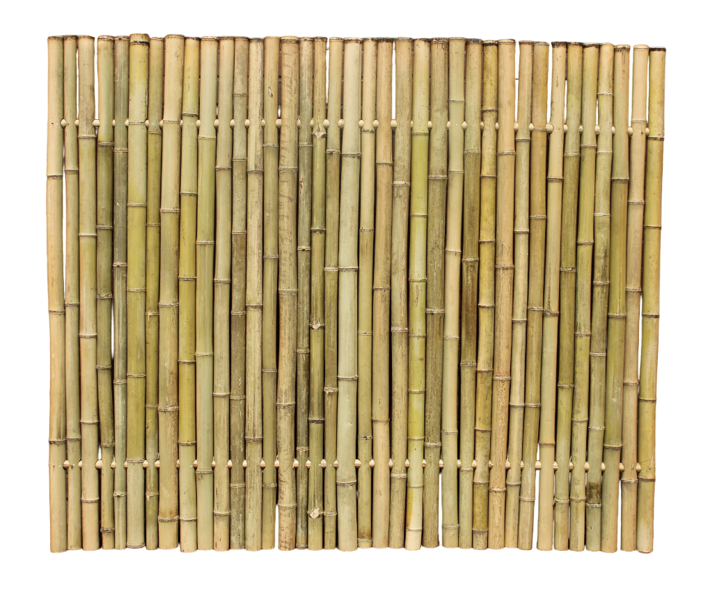 Bamboeschutting Naturel