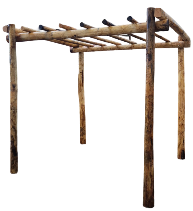 Kastanjehouten Pergola 200X300
