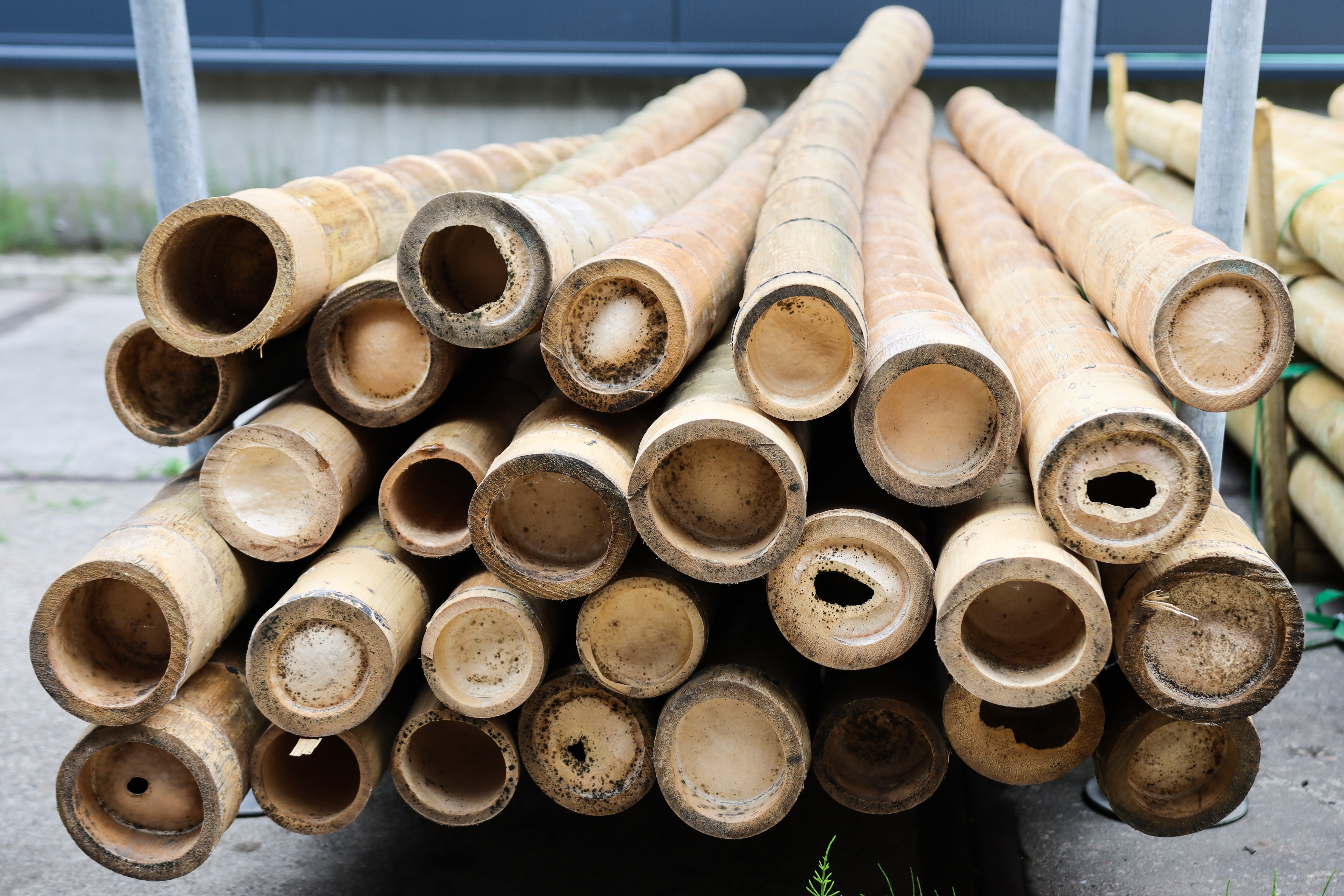 Een optimaal groene tuin met bamboestokken