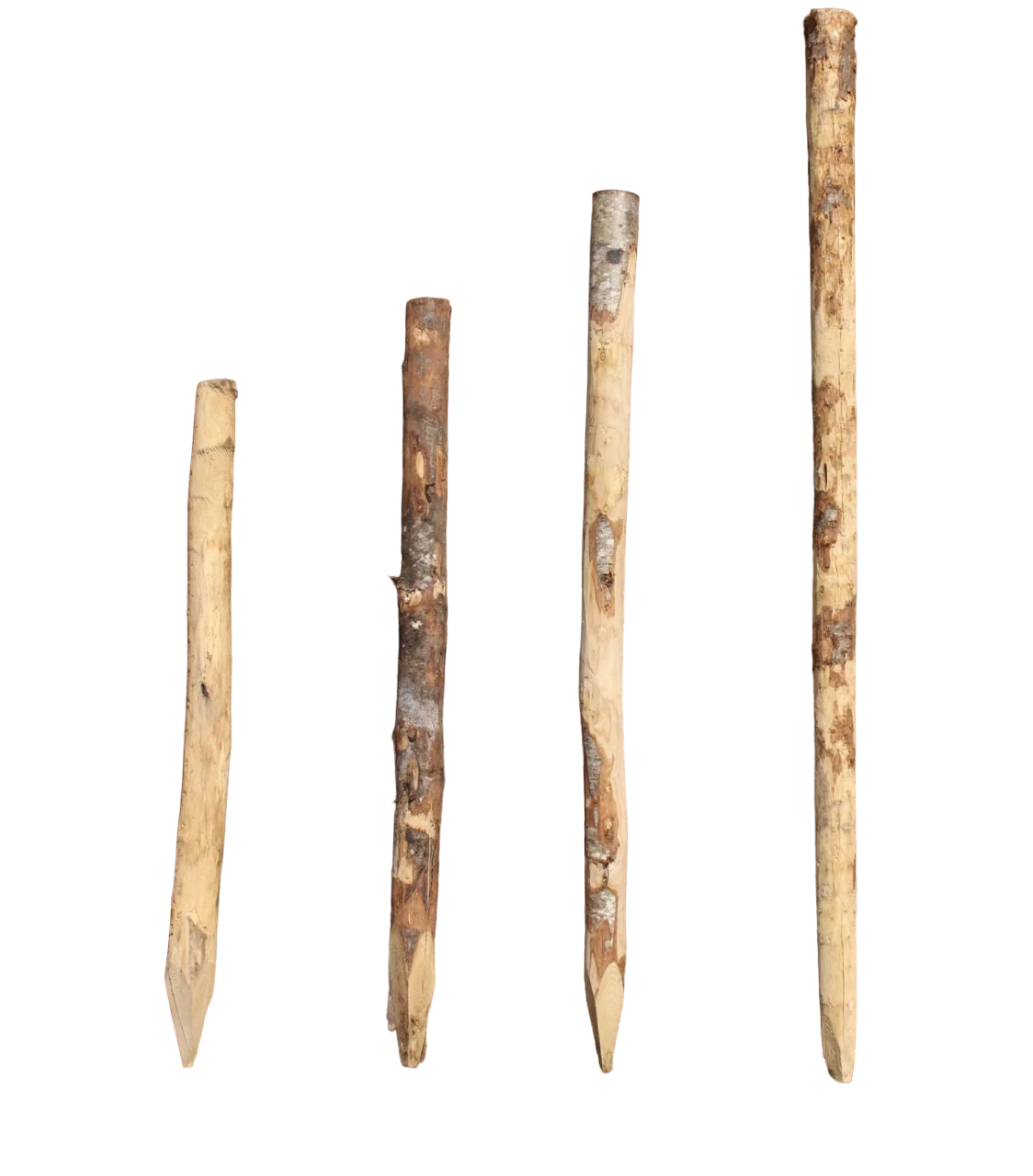 Kastanjepaal Ø 8/10 CM